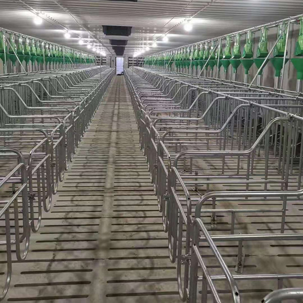 五金制品养殖场饲料输送管道使用场景 五金制品养殖场饲料输送管道使用场景